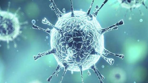 فريق دولي من العلماء يتوصل إلى أصل “فيروس كورونا”