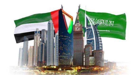 زيادة روابط التعاون بين المملكة العربية السعودية والإمارات العربية المتحدة